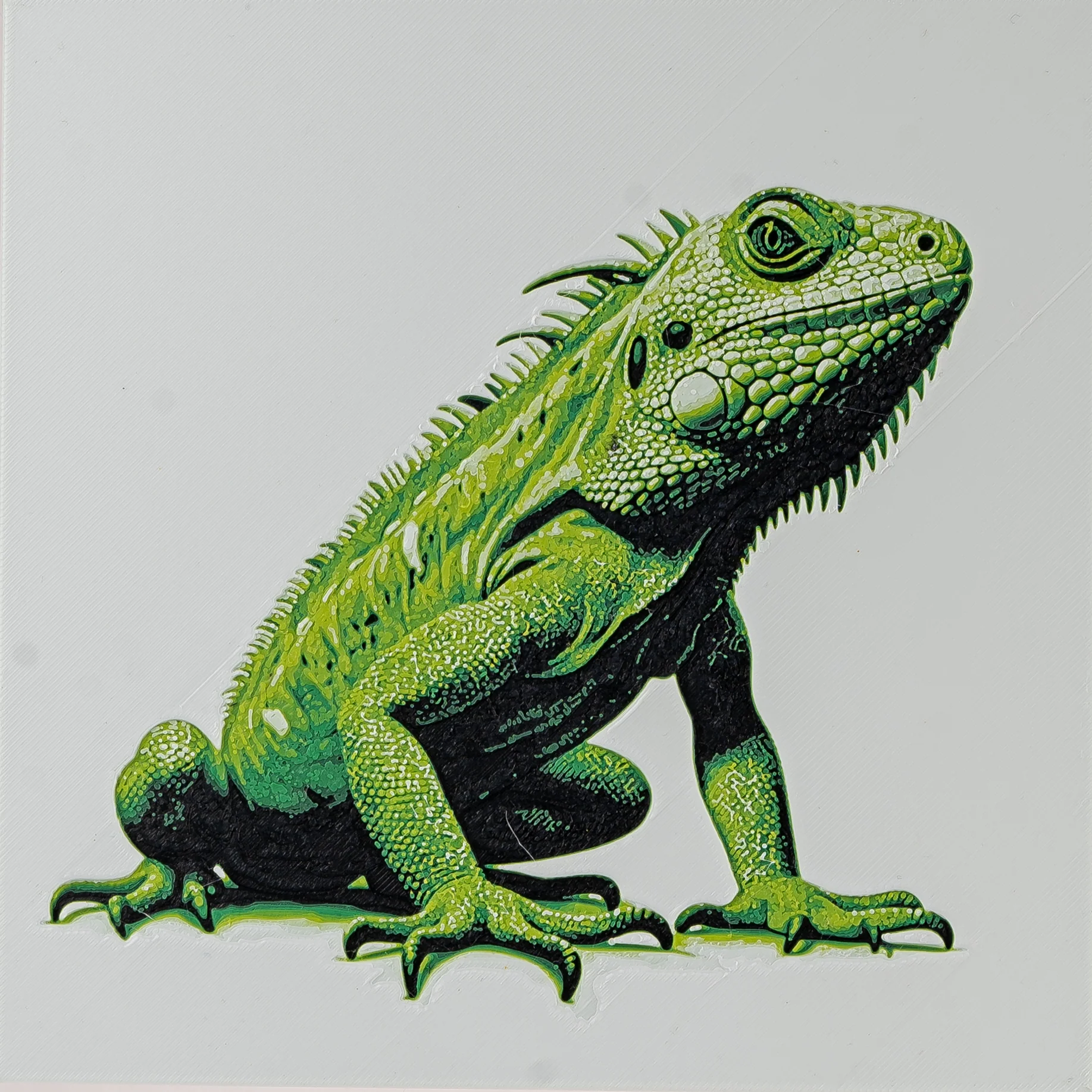 Green Starter Pack - Image 4