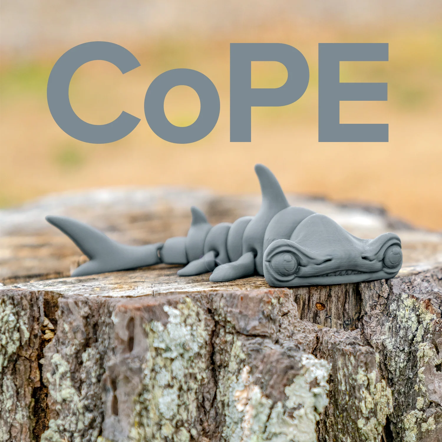 Panchroma™ CoPE - Image 155