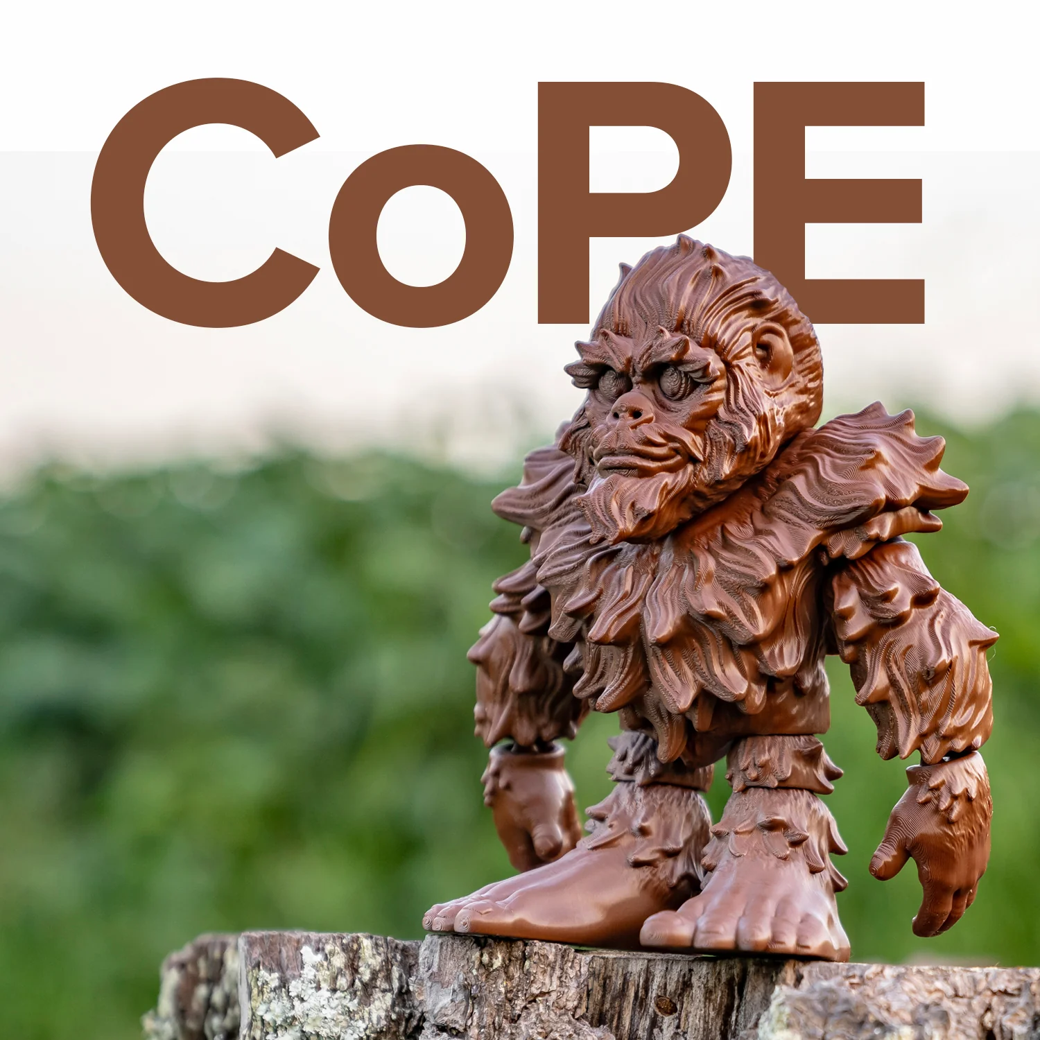Panchroma™ CoPE - Image 157