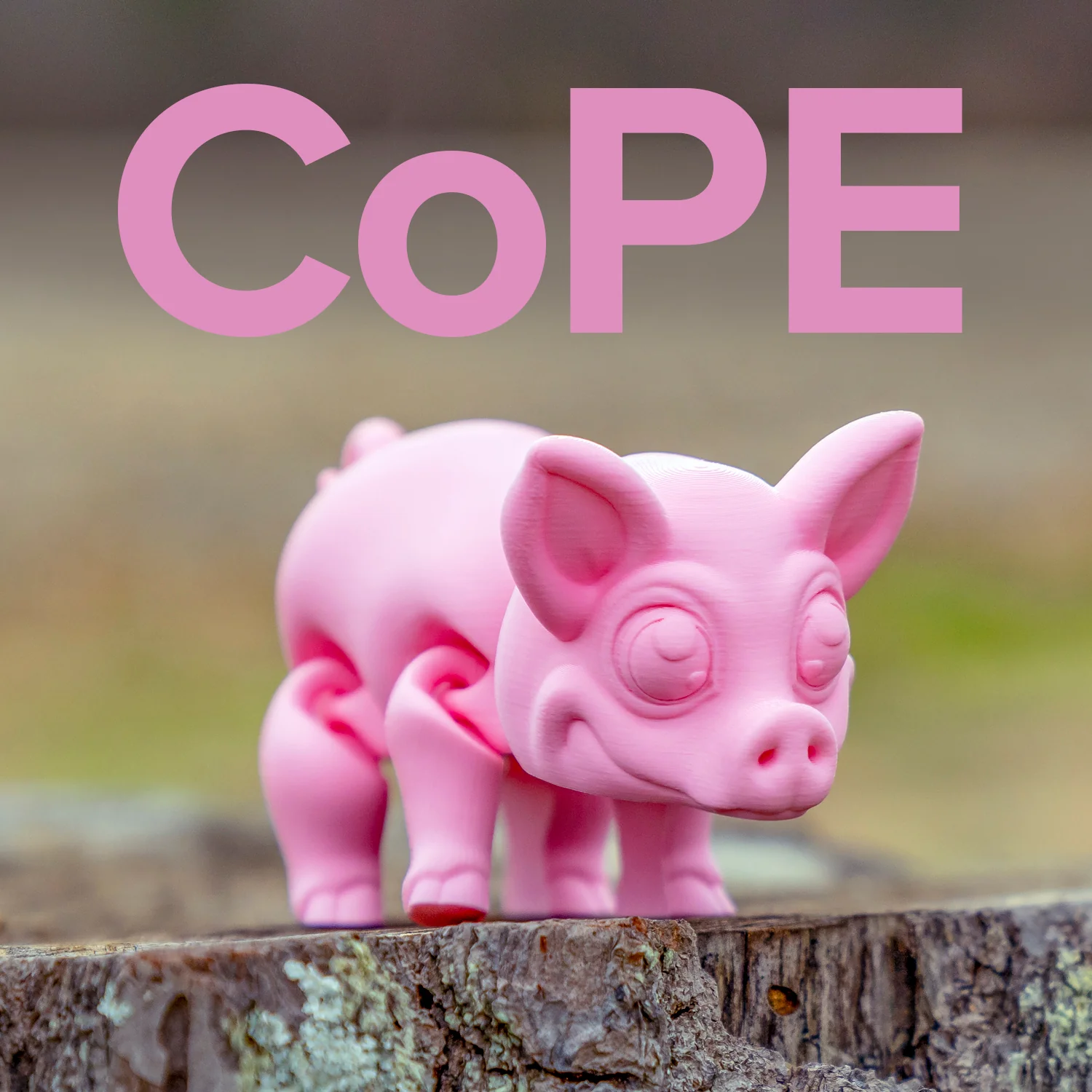 Panchroma™ CoPE - Image 166