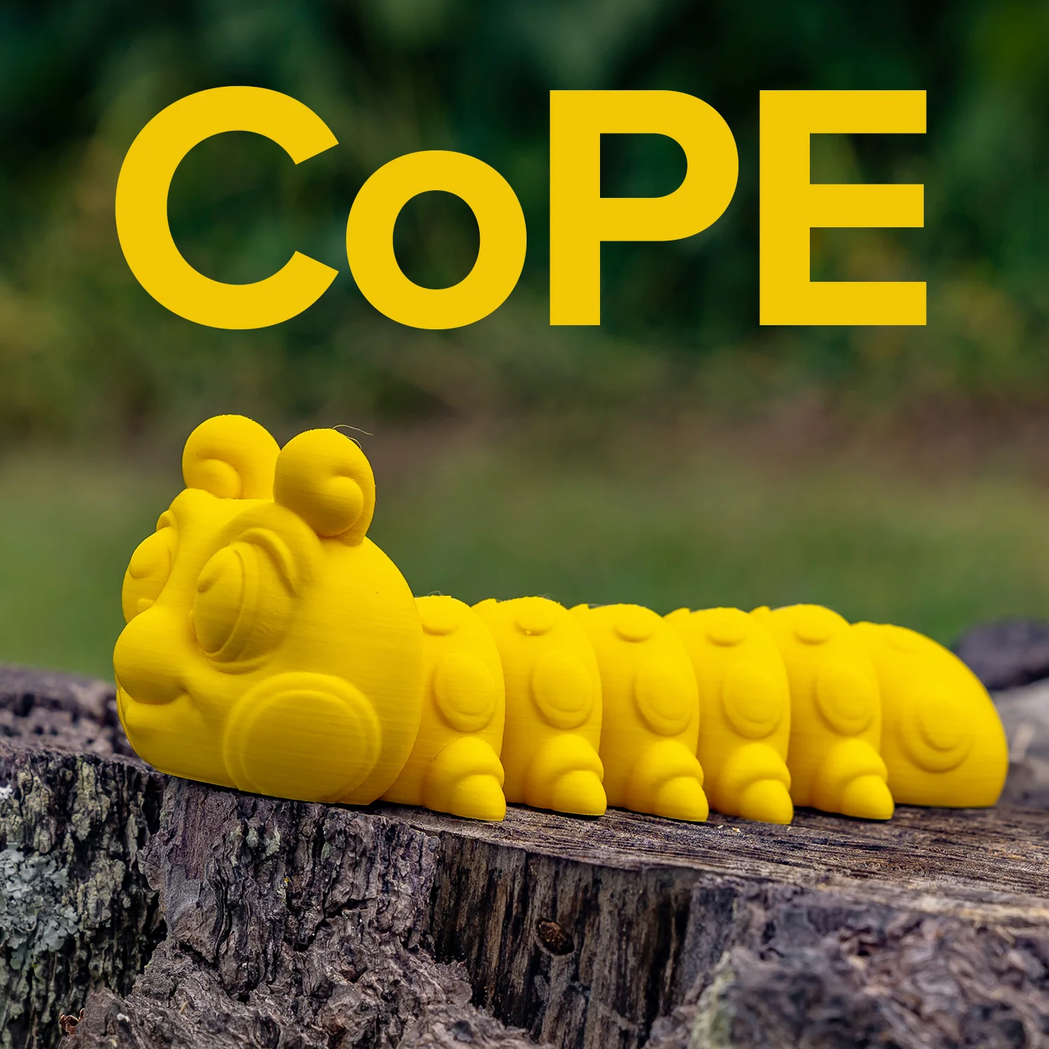 Panchroma™ CoPE - Image 172