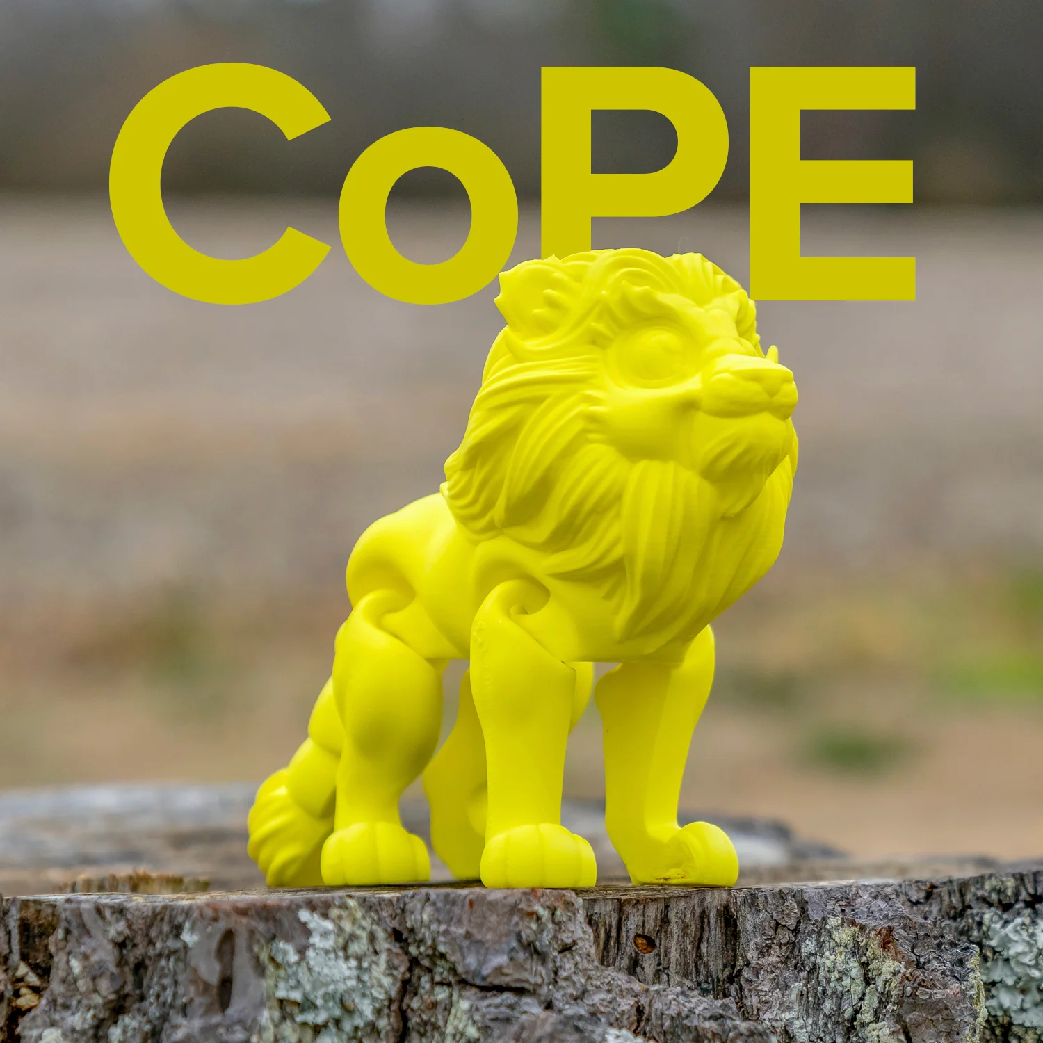 Panchroma™ CoPE - Image 174
