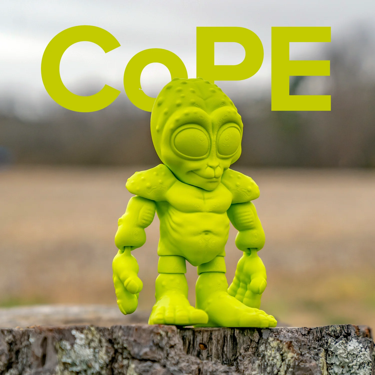Panchroma™ CoPE - Image 176