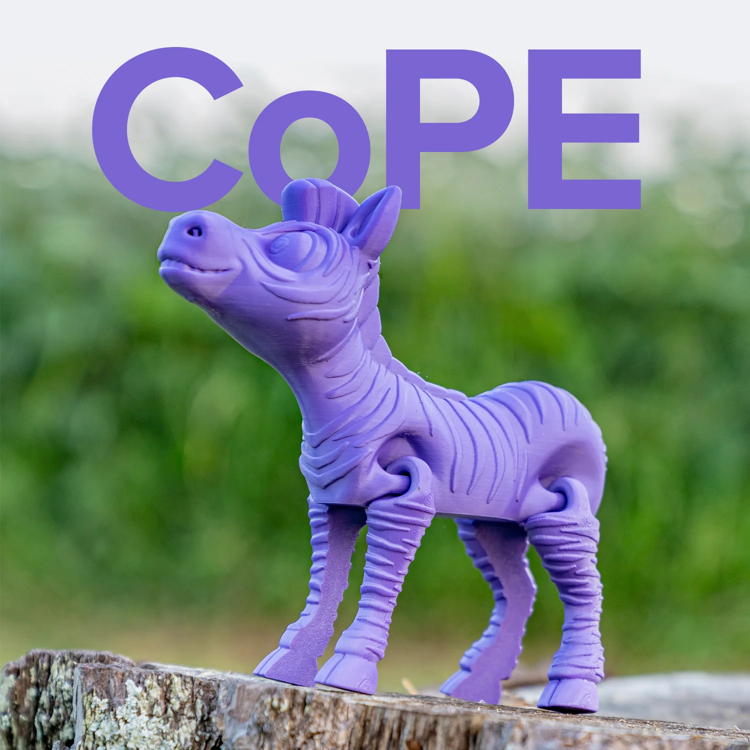 Panchroma™ CoPE - Image 188